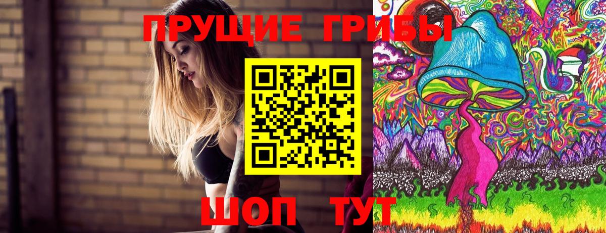 купить наркотики цена  Вход с VPN  Кыштым  Псилоцибиновые грибы ЛСД 